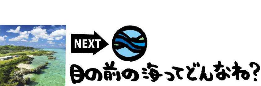 NEXT→目の前の海ってどんなね？