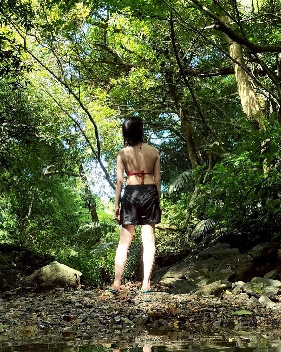 Instagramメディア