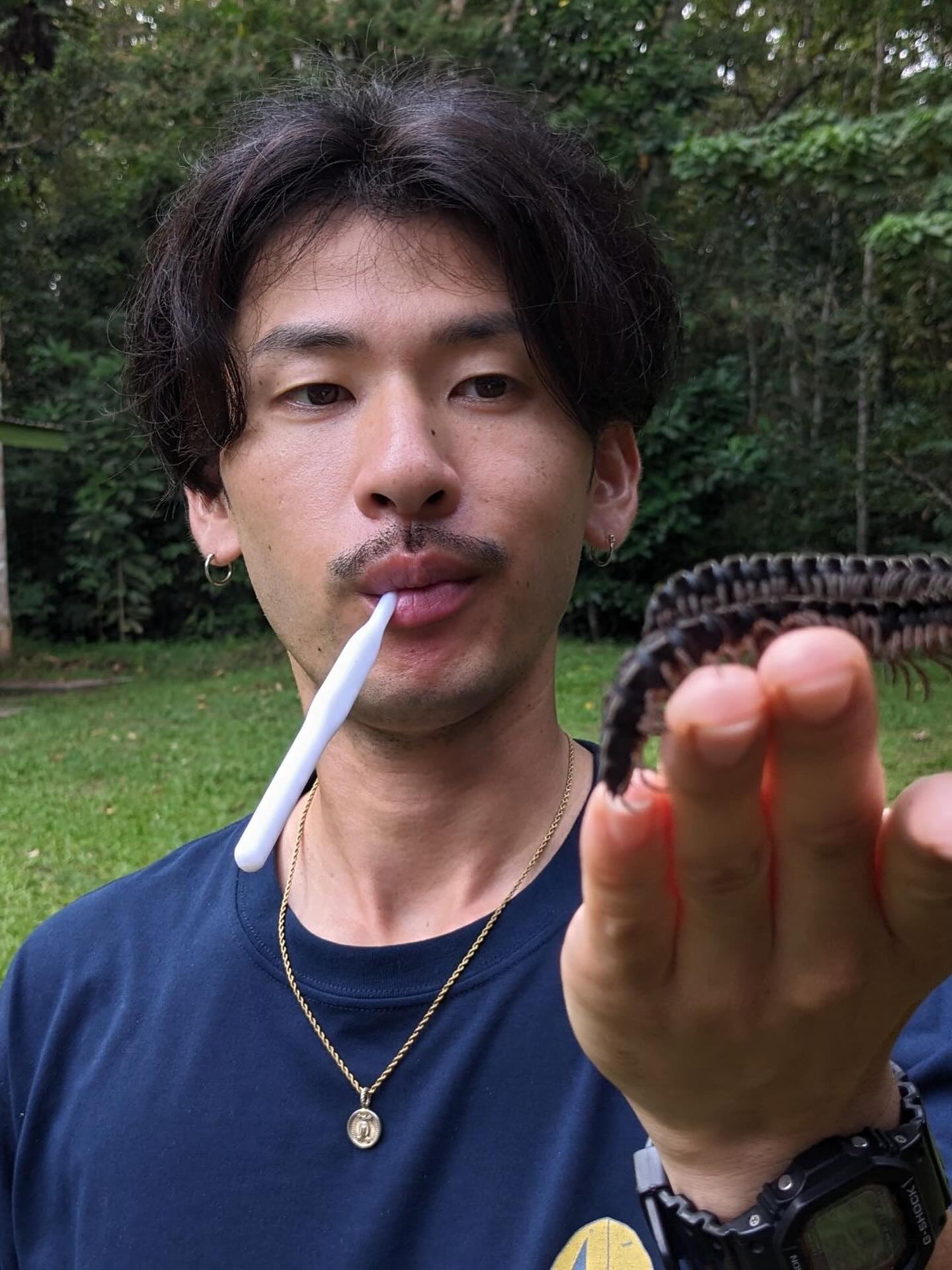 Instagramメディア