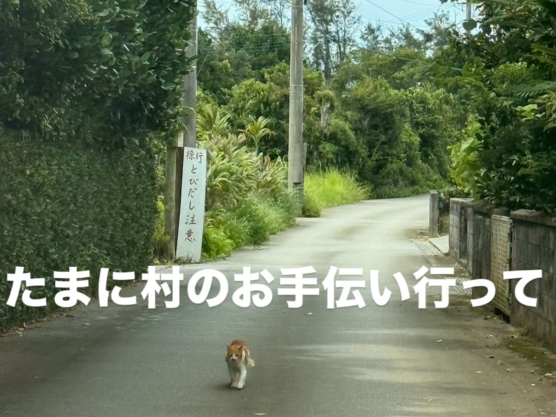 Instagramメディア
