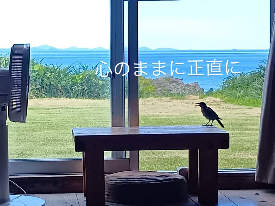 Instagramメディア
