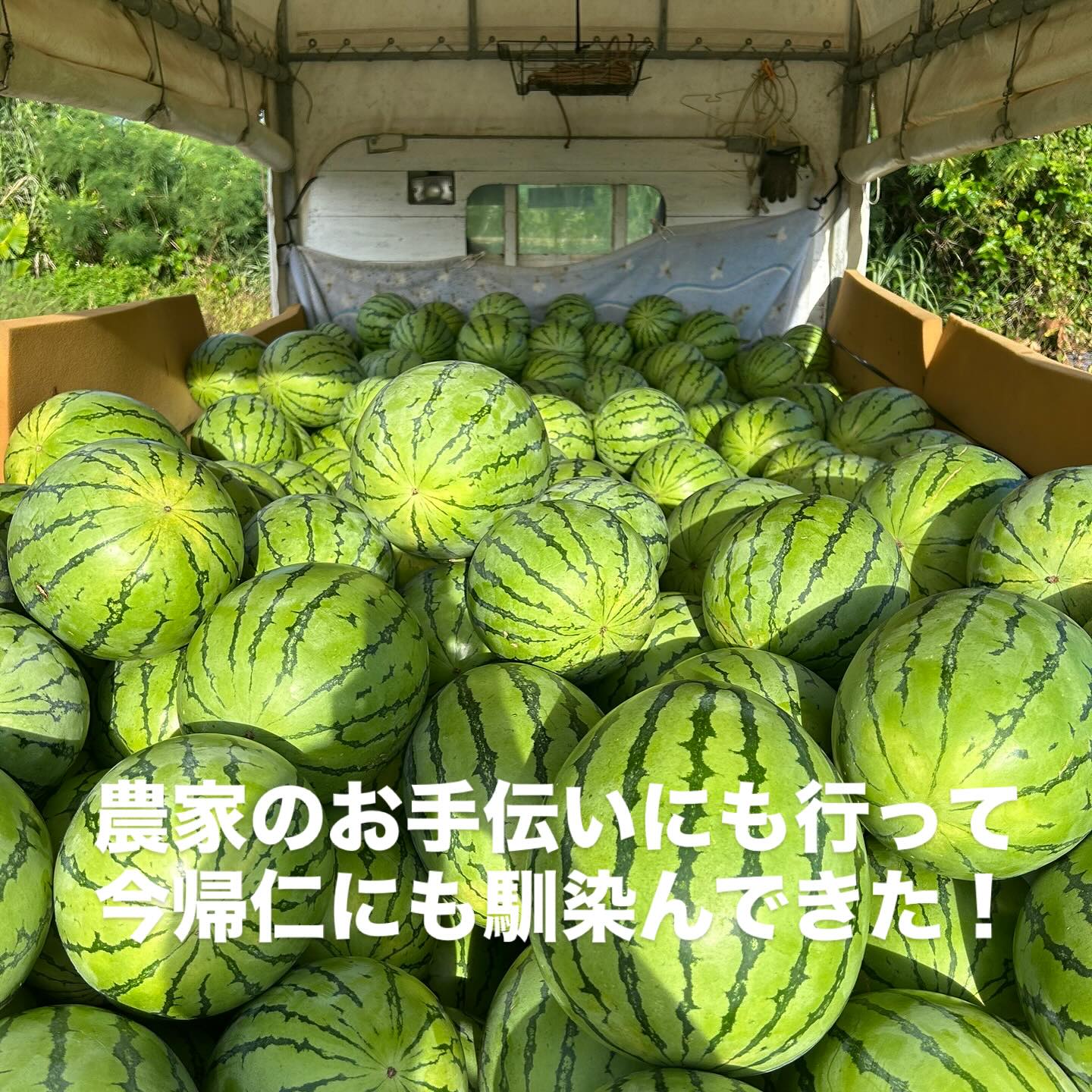 Instagramメディア