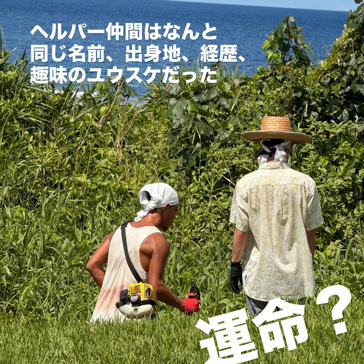 Instagramメディア