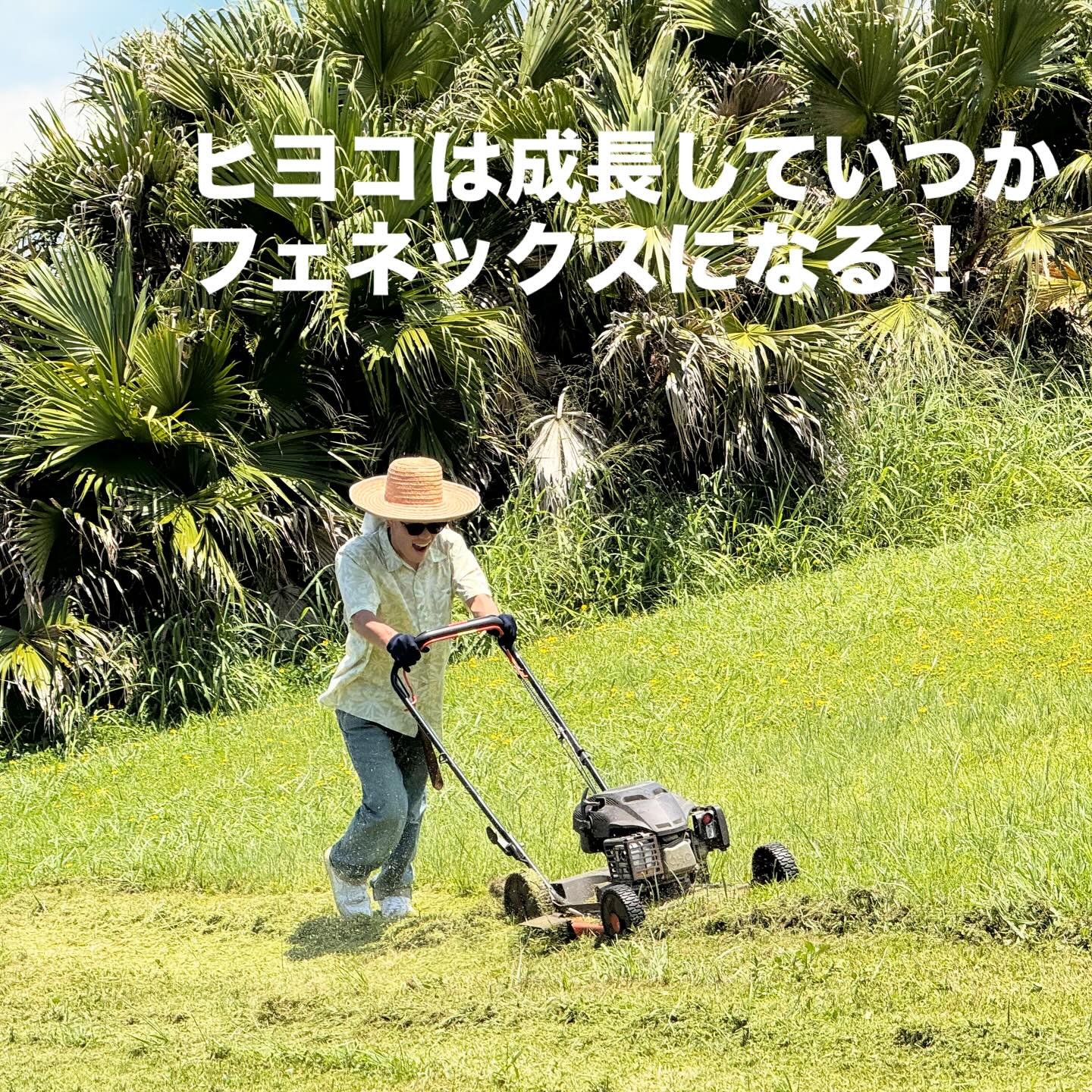 Instagramメディア