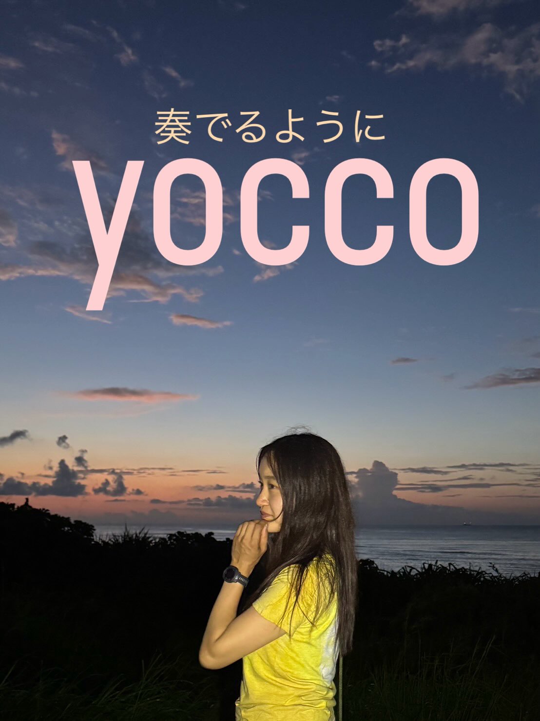 Instagramメディア