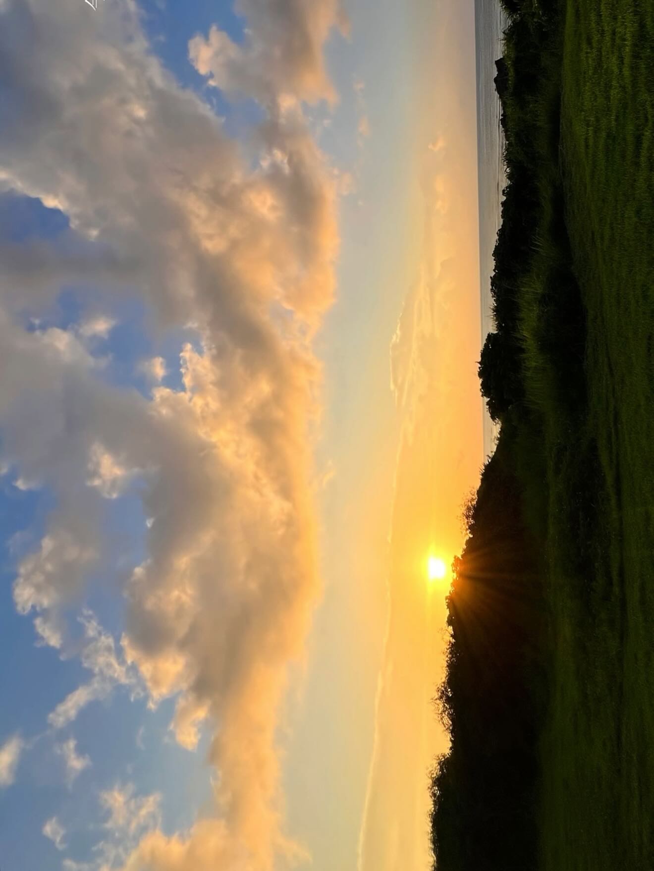 Instagramメディア