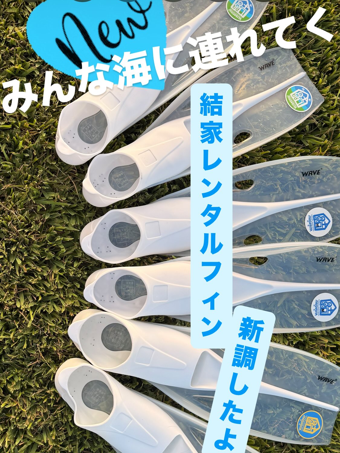 Instagramメディア