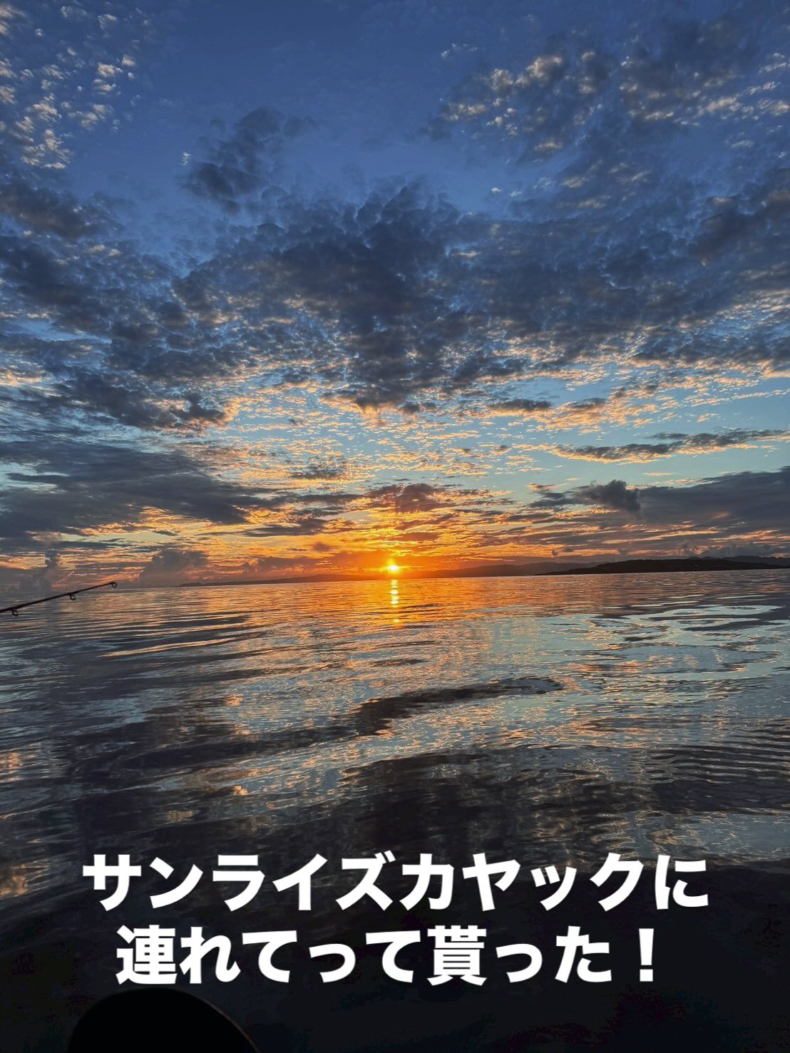 Instagramメディア