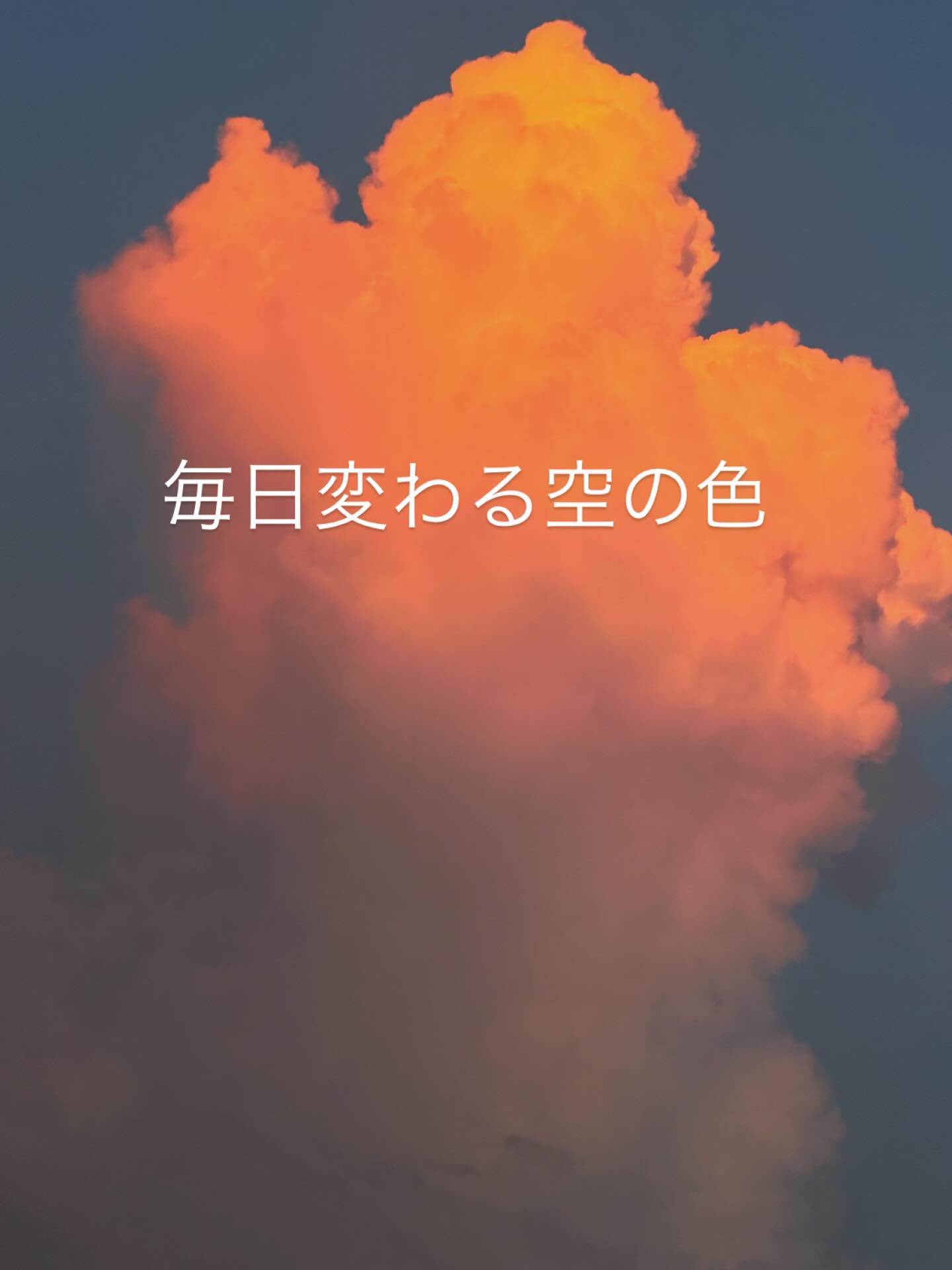 Instagramメディア