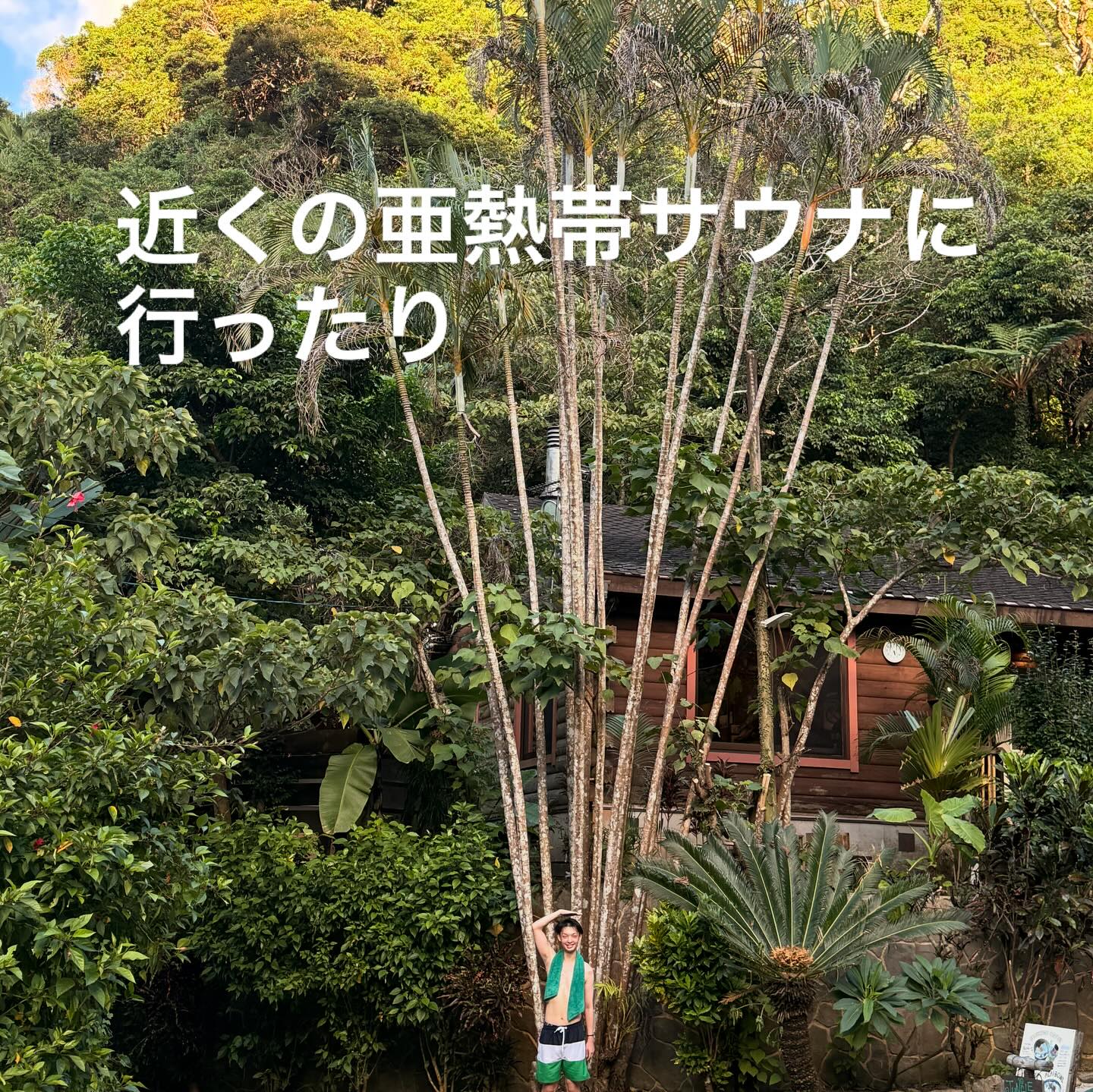 Instagramメディア