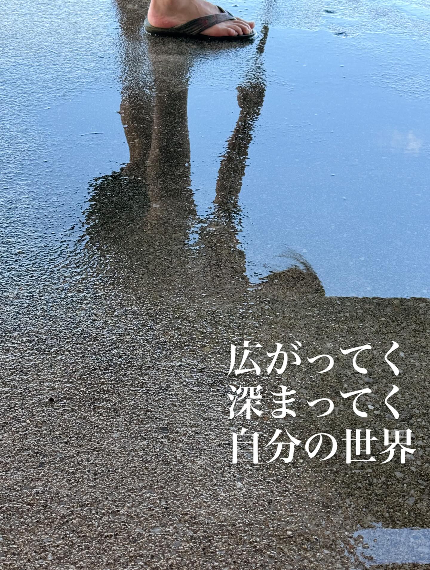 Instagramメディア