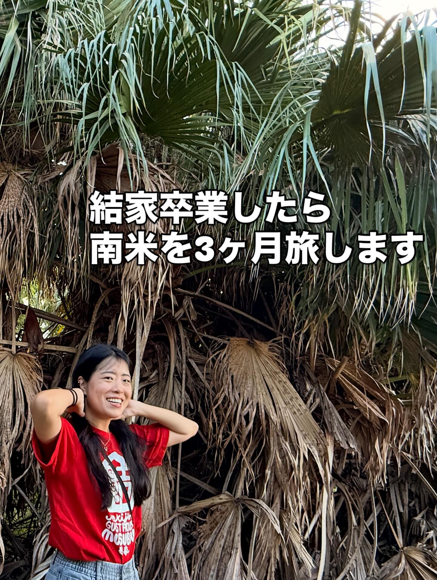 Instagramメディア