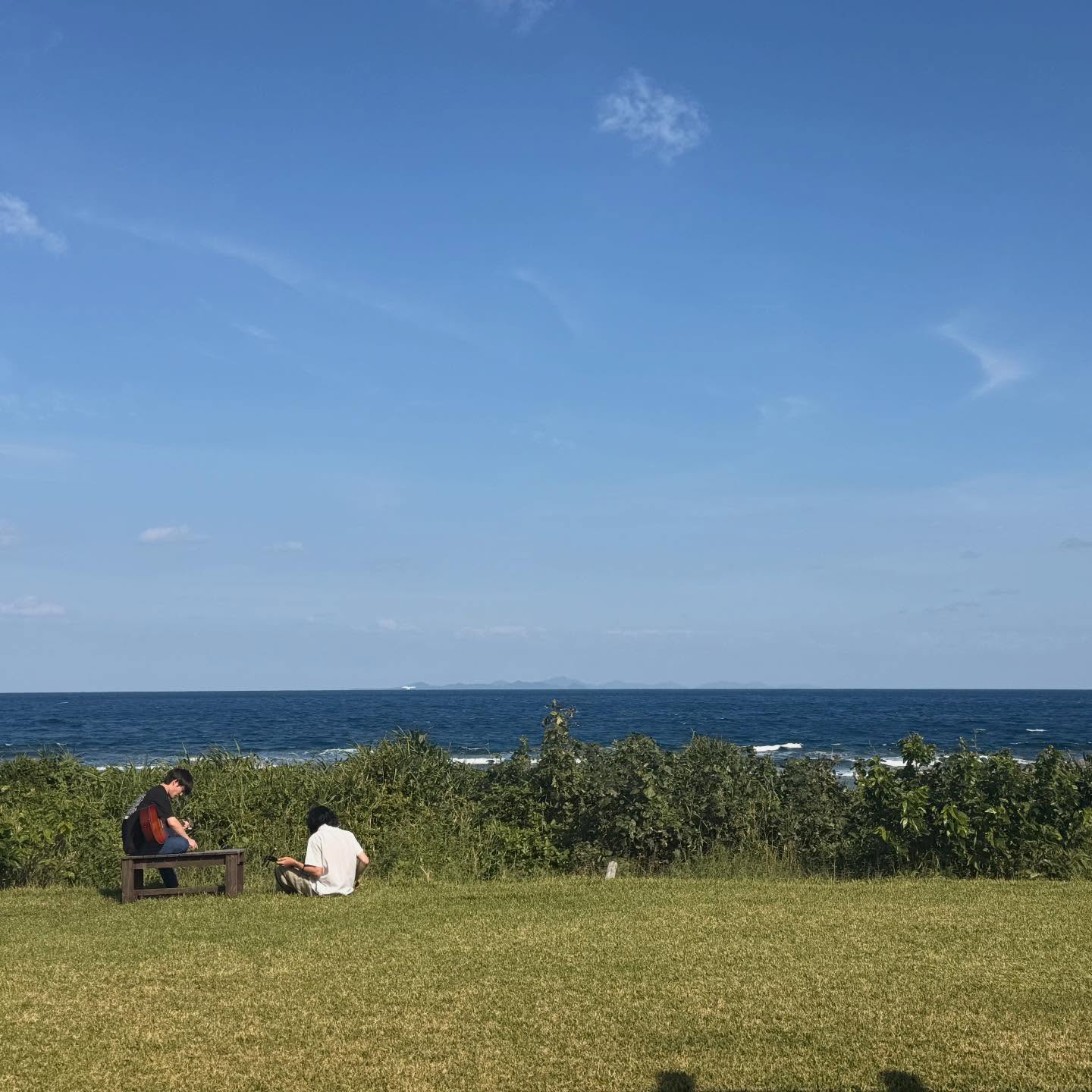 Instagramメディア