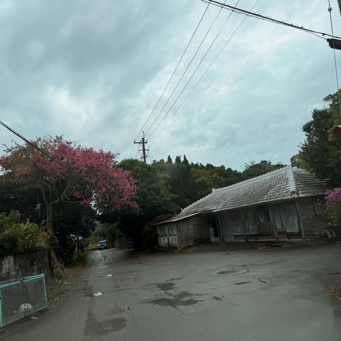 Instagramメディア