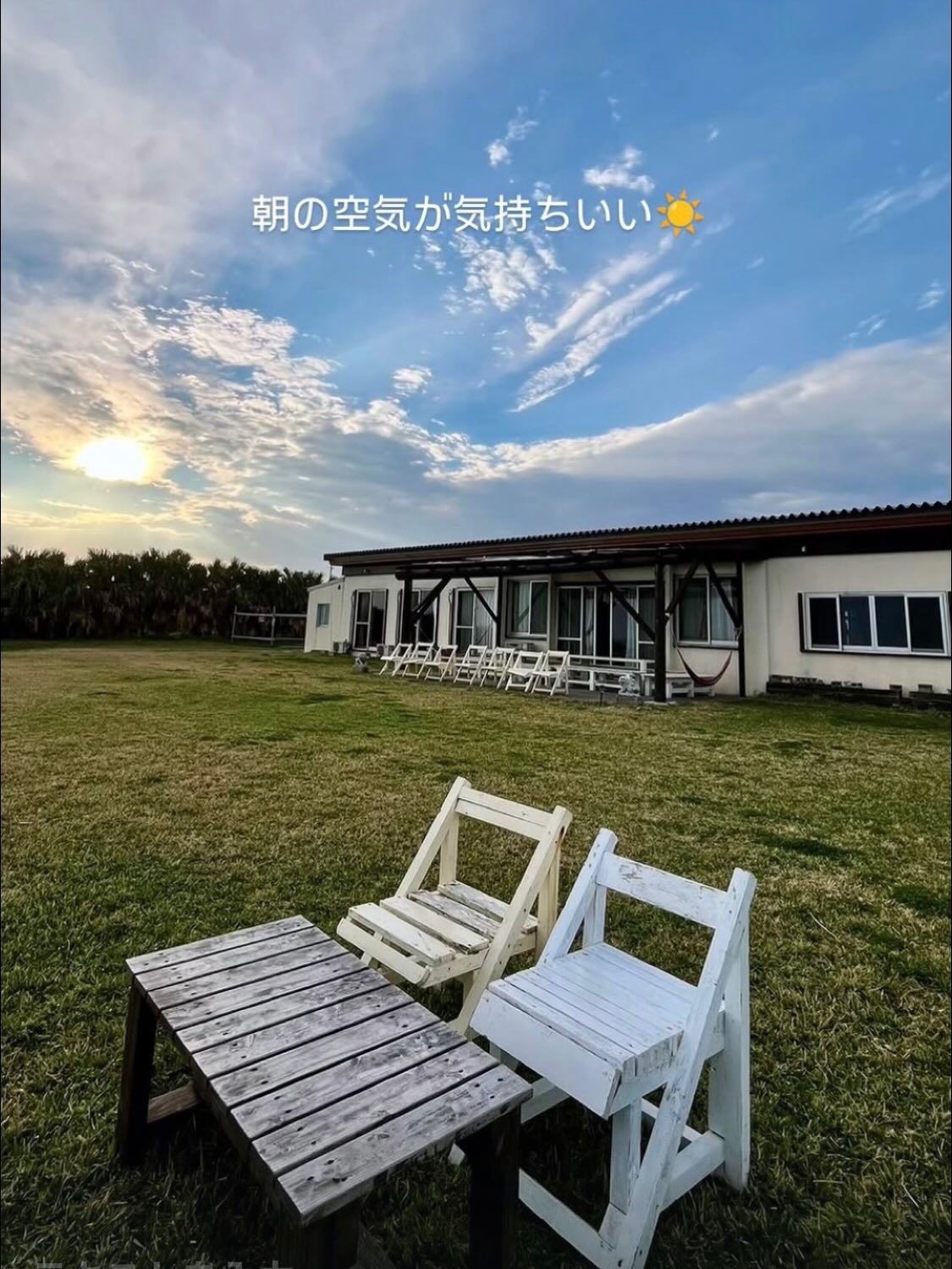 Instagramメディア