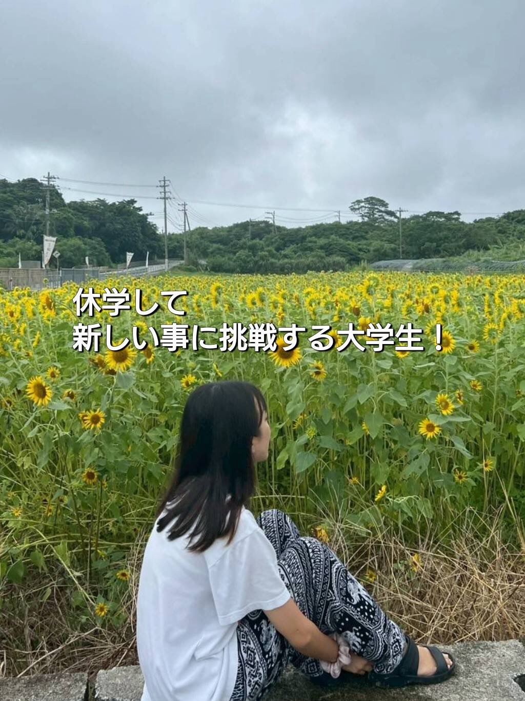 Instagramメディア