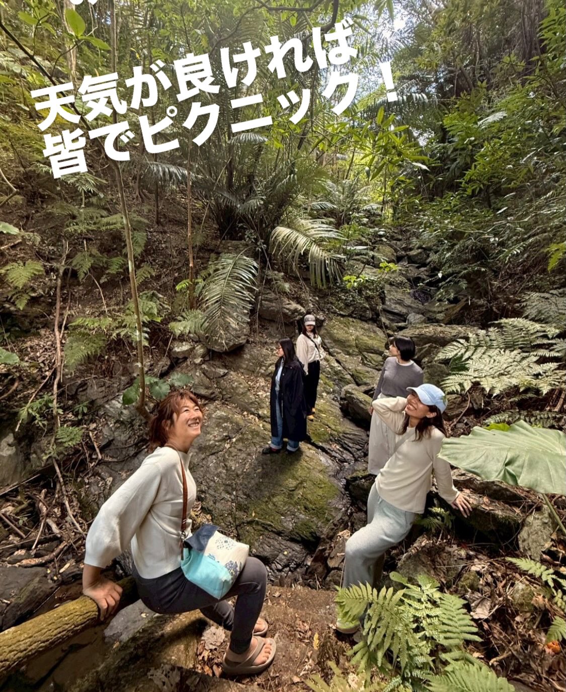 Instagramメディア