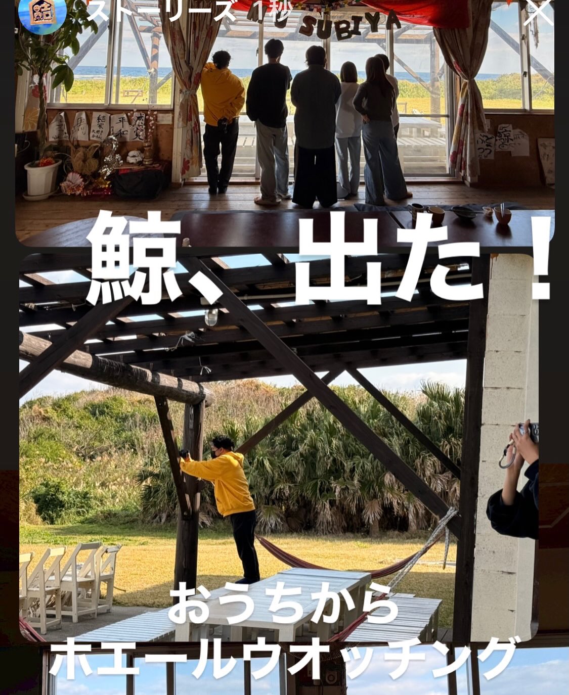 Instagramメディア